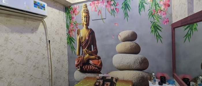 Delhi Royal Spa 1 delhi royal spa