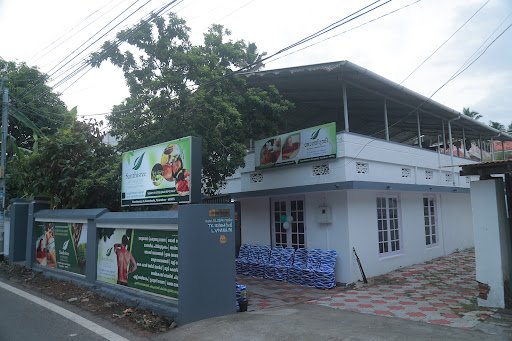 Santhisree Ayurveda Panchakarma Centre
