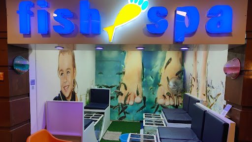 MSR.Fish Spa