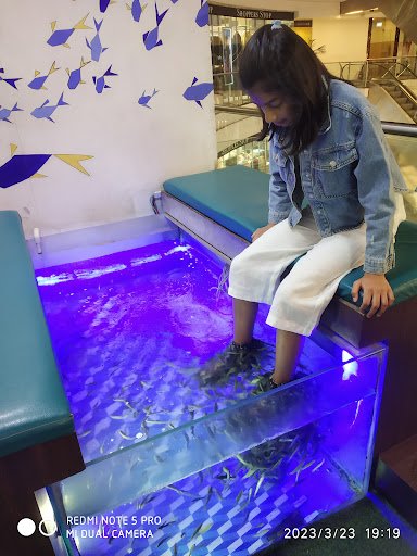 Smiles The Fish Spa