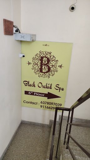 black orchid spa : body massage center, top spa in ajmer black orchid spa : body massage center, top spa in ajmer