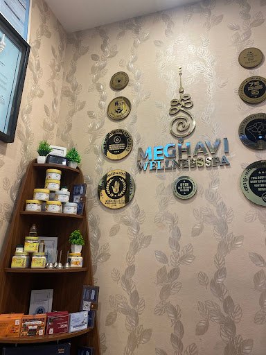 Meghavi Wellness Spa