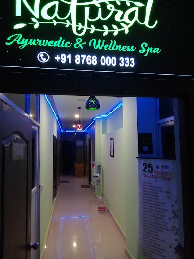 Natural Ayurvedic and Wellness spa