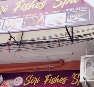 siri fishes spa 1 siri fishes spa